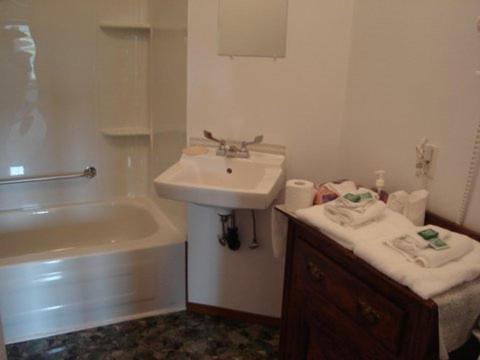 a bathroom with a sink and a bath tub next to a sink at Wildberry North in St. Anthony