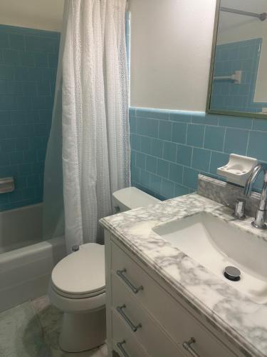 a bathroom with a white toilet and a sink at Honey Home in Danville