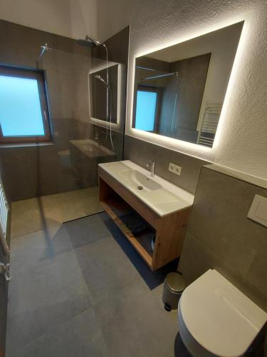 a bathroom with a sink and a toilet and a mirror at Apart Monte Vista in Längenfeld