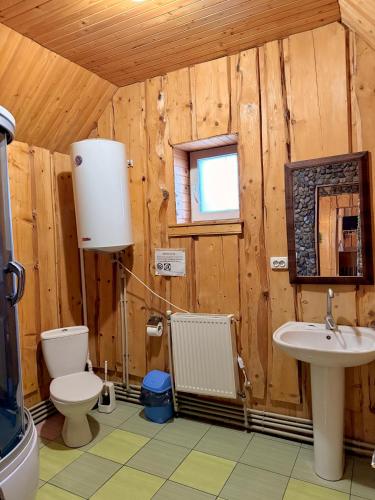 a bathroom with a toilet and a sink at Гуцульська оселя in Yaremche