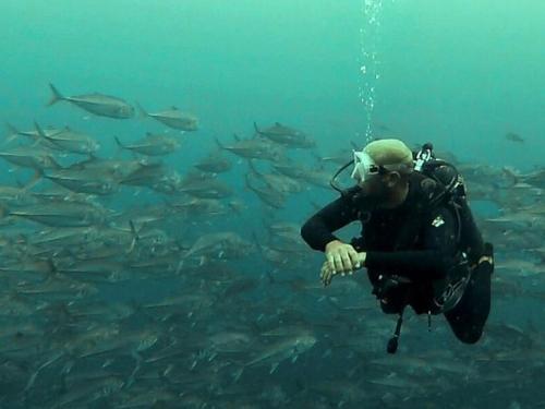 Hosté ubytování Casa Prana Nuqui