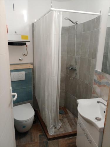 a bathroom with a shower and a toilet and a sink at Apartman "Galerija" in Pirot