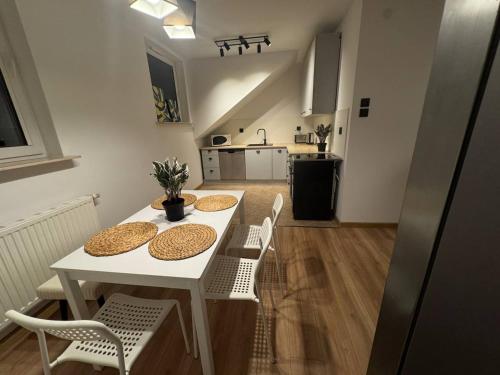 Køkken eller tekøkken på Szczecin Mierzyn Windmill