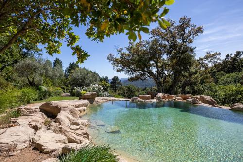 Villa 10p - Piscine Naturelle - 30min St-Tropez
