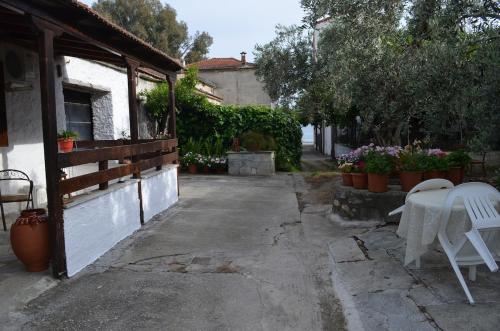 Zahrada ubytování Soula's Cozy House