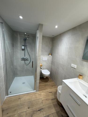 a bathroom with a shower and a toilet and a sink at Le Crystalia in Prabert