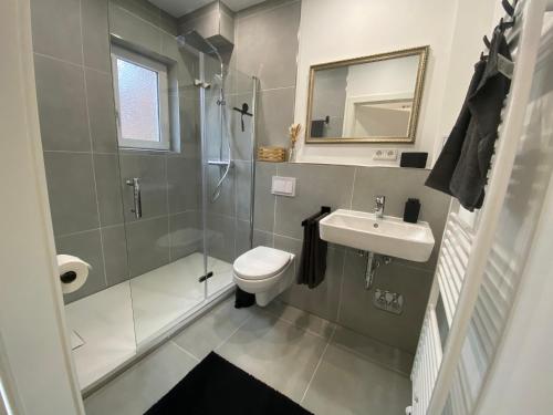 a bathroom with a toilet and a sink and a shower at Petkumer Deichkoje in Emden