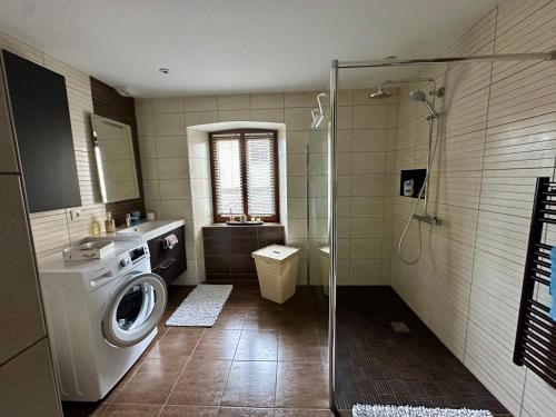 un bagno con lavatrice e lavandino di Loft à colombages "1789" - 80m2 a Innenheim