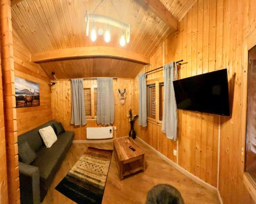 een woonkamer met een bank en een tv in een huisje bij Eden Natural Resort - Transalpina in Căpîlna