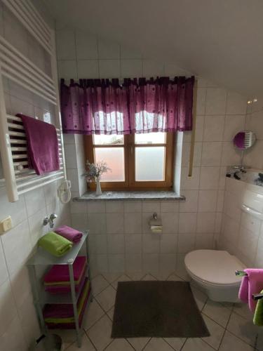 a bathroom with a toilet and a window at Ferienwohnung Elisabeth in Eggstätt