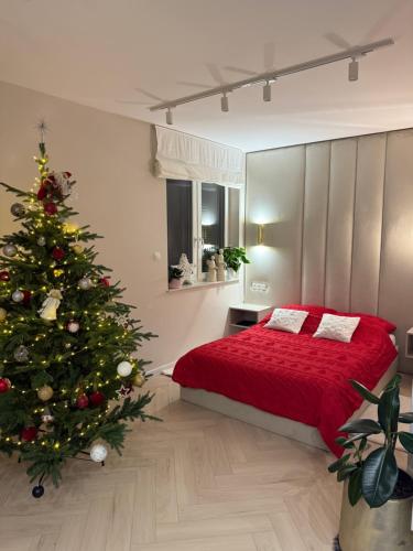 En eller flere senge i et værelse på Apartament Kaszmirowy