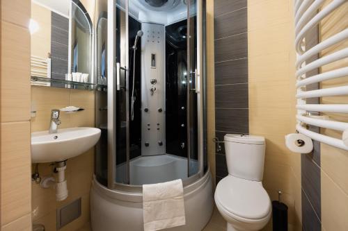 ein Badezimmer mit Dusche, Toilette und Waschbecken in der Unterkunft Skalny Brzeg in Czarna Góra