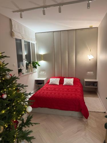 En eller flere senge i et værelse på Apartament Kaszmirowy