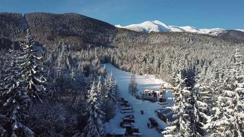 een luchtzicht op een skigebied in de sneeuw bij Вила Еделвайс in Dobrinishte