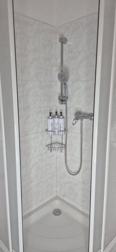 a bathroom with a shower with bottles in it at Krkonošský apartmán DELUXE in Poniklá
