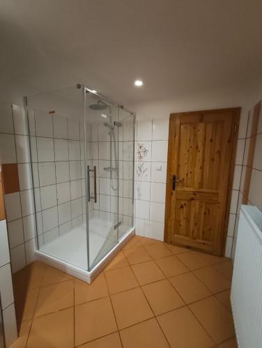 a bathroom with a shower with a glass door at Apartmán Bára in Tanvald