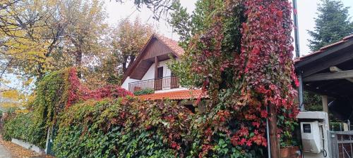 Famiy &Pet Friendly villa in Nea Vrasna-Big Garden& -BBQ WalK to Sea #