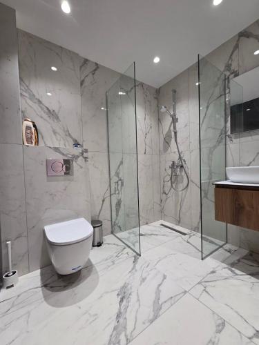 een badkamer met toilet, douche en wastafel bij Sunny Aparts in Polykhrono