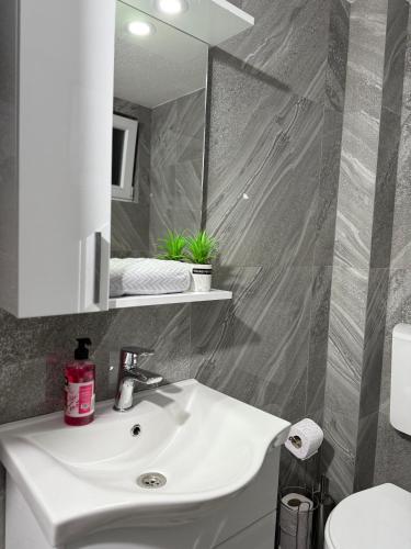 a bathroom with a white sink and a mirror at Comfort House Kocani in Kočani