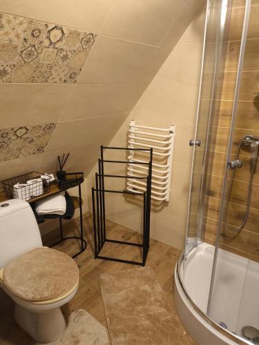 a bathroom with a toilet and a shower at Apartamenty HAWOK in Groń