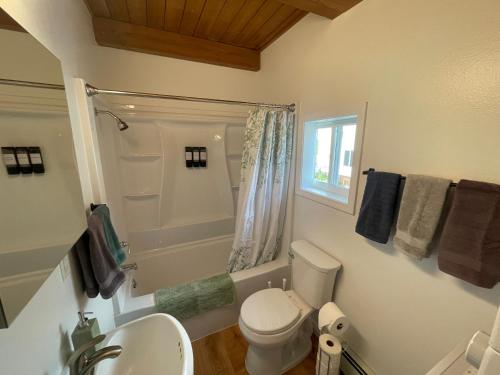 Et badeværelse på Peaceful Acres Cabin 5 - Moose Haven