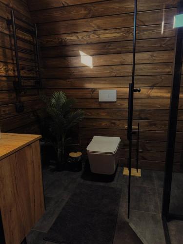 a bathroom with a toilet and a plant in it at Aframe Shepit in Sosnovka