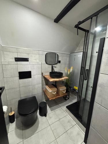 a bathroom with a toilet and a mirror at The Nest - Sauna and Hot Tub in Rynoltice