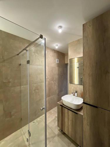 a bathroom with a sink and a glass shower at Tatariv-hills in Tatariv