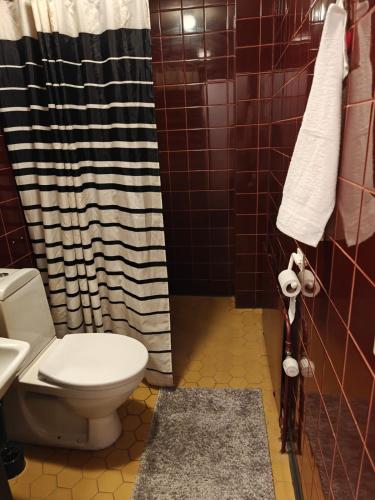 a bathroom with a toilet and a shower at Patomajat in Rovaniemi