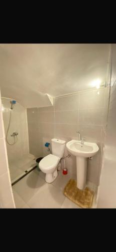 a bathroom with a toilet and a sink at Hadi Guest House in Luxor