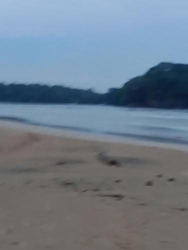 Naturlandschaft in der Nähe der Pension