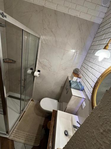 ein Badezimmer mit Dusche, Toilette und Waschbecken in der Unterkunft AgroStudio in Wieża