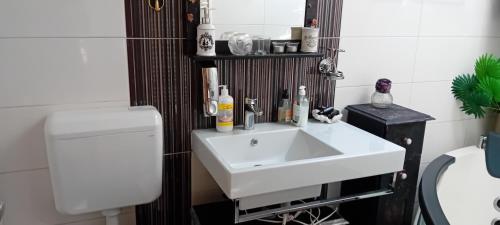 ein Badezimmer mit einem weißen Waschbecken und einer Toilette in der Unterkunft VIRY room in Ljubljana