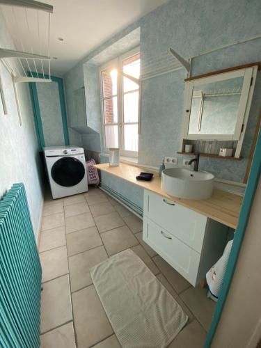 ein Badezimmer mit Waschbecken und Waschmaschine in der Unterkunft maison de ville dans le perche in Senonches