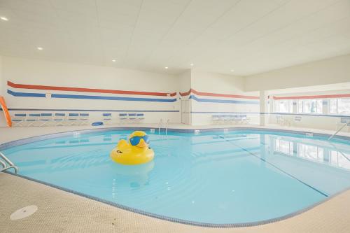a swimming pool with a yellow rubber duck in it at LUX Lakefront, Pool, Hot Tub, Game Room, FIFA 2026 in Bushkill
