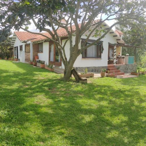a small white house with a tree in the yard at Hospedaje Rural Pistacia Vera - Villa de Leyva in Villa de Leyva