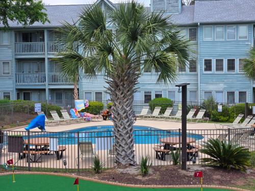 a palm tree in front of a building with a pool at Family friendly, cozy, home at the beach in Myrtle Beach