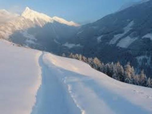 Fotografie z fotogalerie ubytování Baier v destinaci Stadl an der Mur