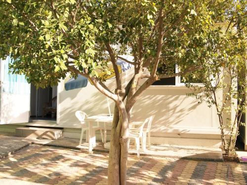 Φωτογραφία από το άλμπουμ του Camping Chania  στο Κάτω Δαράτσο