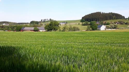 a field of green grass with a farm in the background at Landhotel "Lichte Aue" Lichtenau in Stützengrün