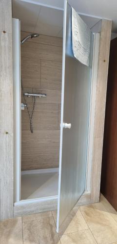 a shower with a glass door in a bathroom at Studio Verde in Au