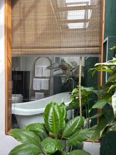 a bathroom with a bath tub and some plants at The Next Door in Kandy