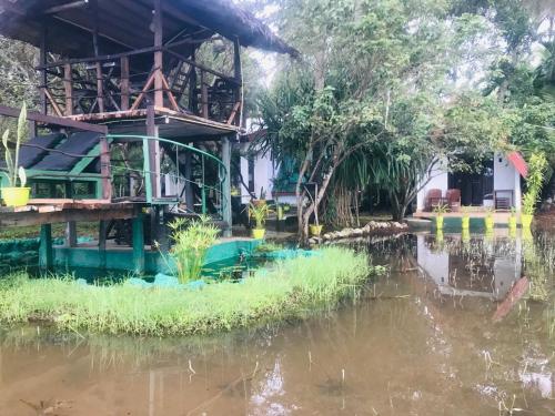 Udsigt til en flod der løber i nærheden af den private indkvartering