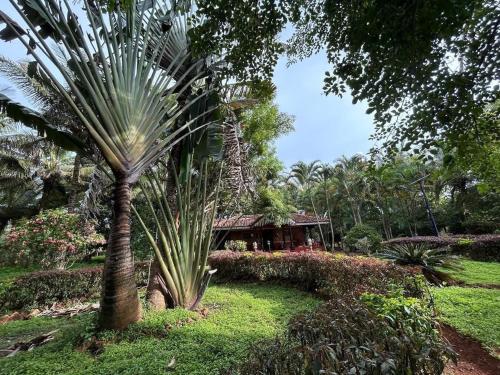 Φωτογραφία από το άλμπουμ του NATUREs LAP FARM STAY Mysore σε Mysore