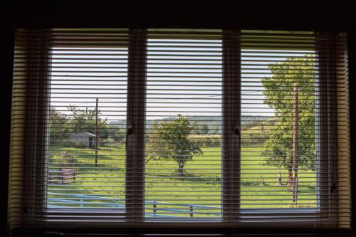 a window with a view of a field with trees at Glan Llyn Farm House in Mold