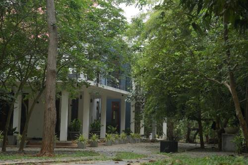 Zahrada ubytování Ayana Resort Wilpattu