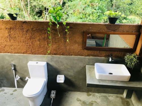 哈伯勒内Habarana Tree House - Ivory cottage的带马桶和水槽的浴室