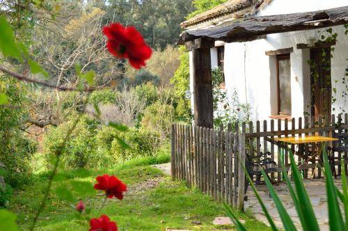 una casa con una valla y flores rojas en el patio en Casa Rural Ahora, en El Colmenar