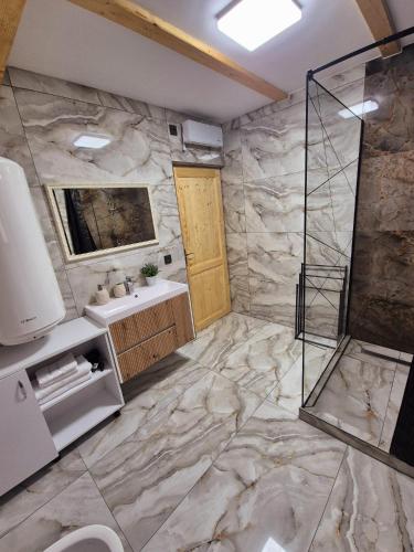 a bathroom with a sink and a shower at Zori de zi in Lupeni