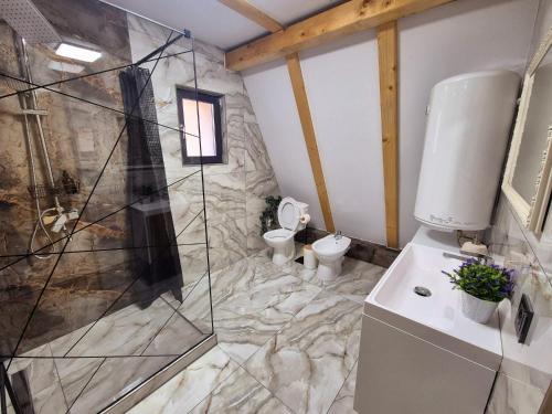 een badkamer met douche en toilet bij Zori de zi in Lupeni